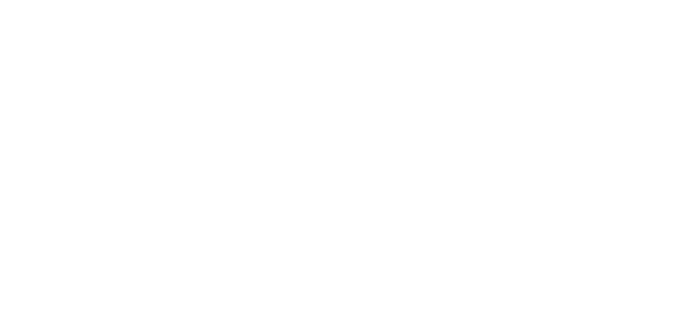 yelcho-logo